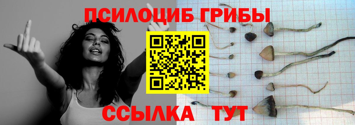 Псилоцибиновые грибы GOLDEN TEACHER Новомосковск